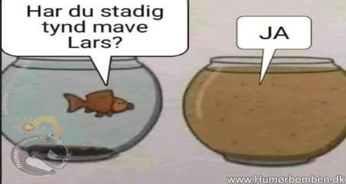 Har du stadig tynd mave