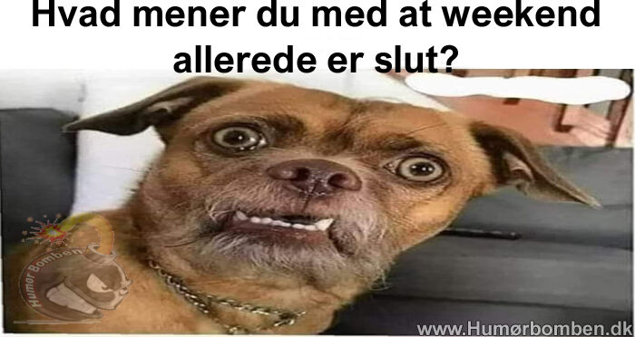 Hvad mener du med at weekend allerede er slut