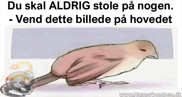 Du skal ALDRIG stole på nogen