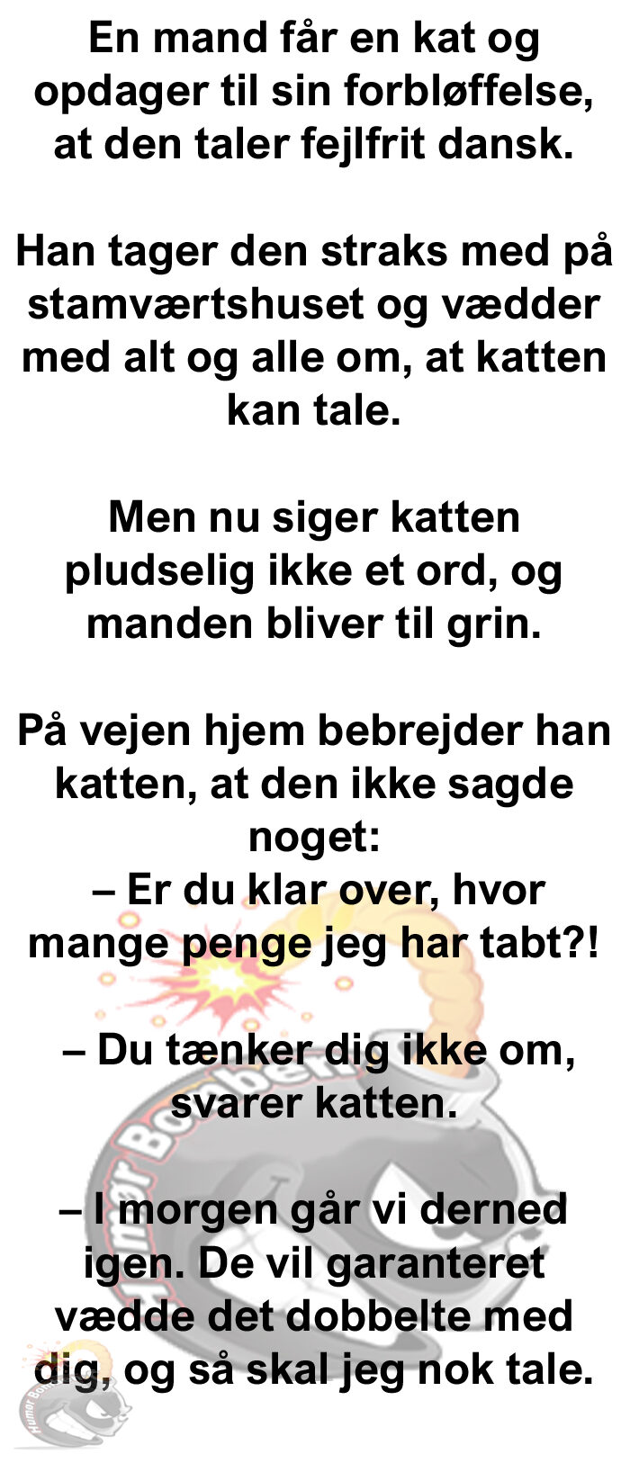 En mand får en kat