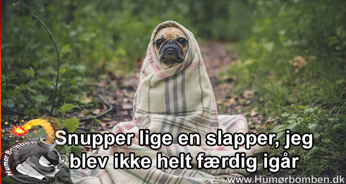 Snupper lige en slapper