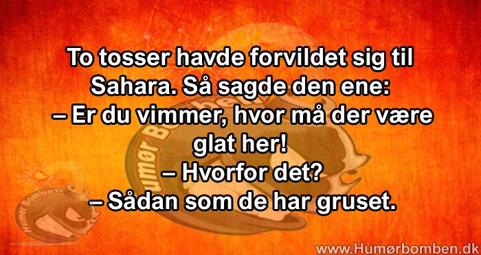 To tosser havde forvildet sig til Sahara