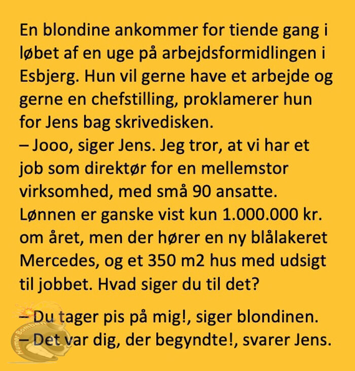 Blondinen der kom ind på arbejdsformidlingen