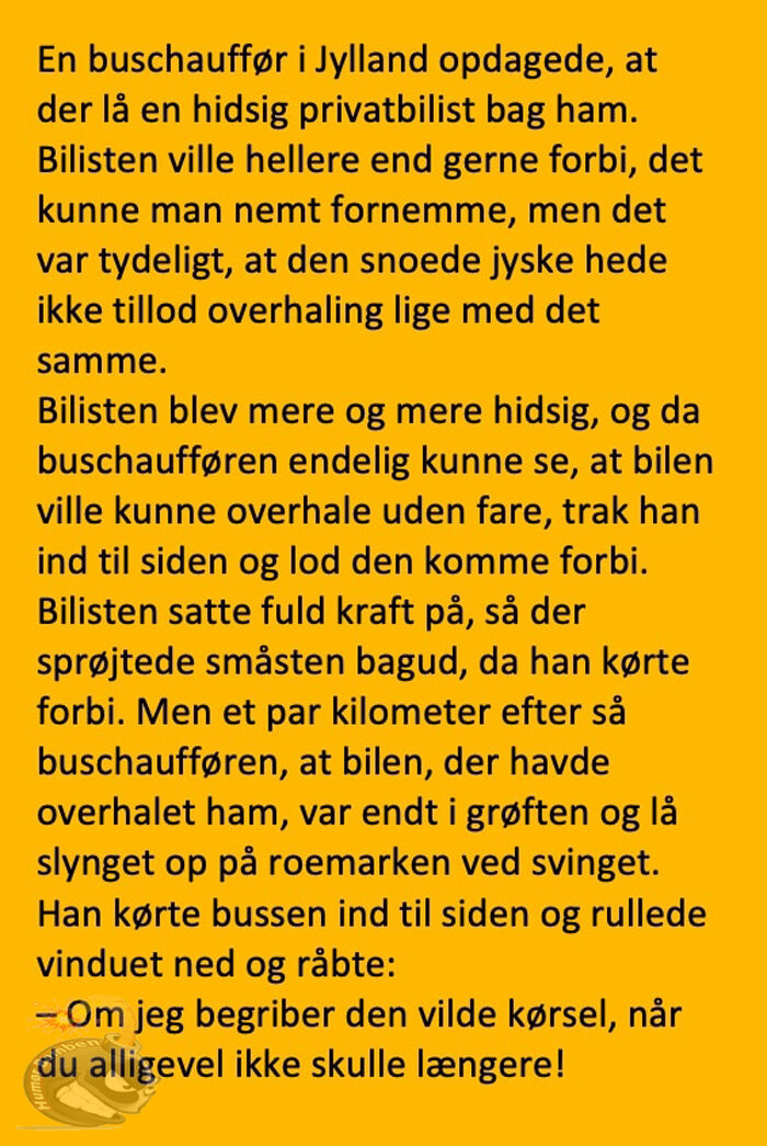 Buschaufføren i Jylland blev overhalet af en travl bilist