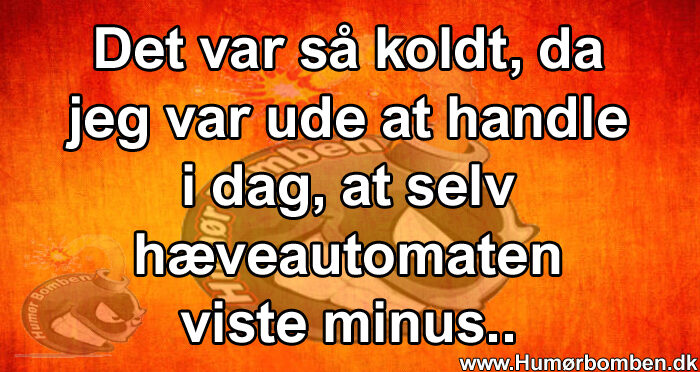 Det var så koldt, da jeg var ude at handle i dag