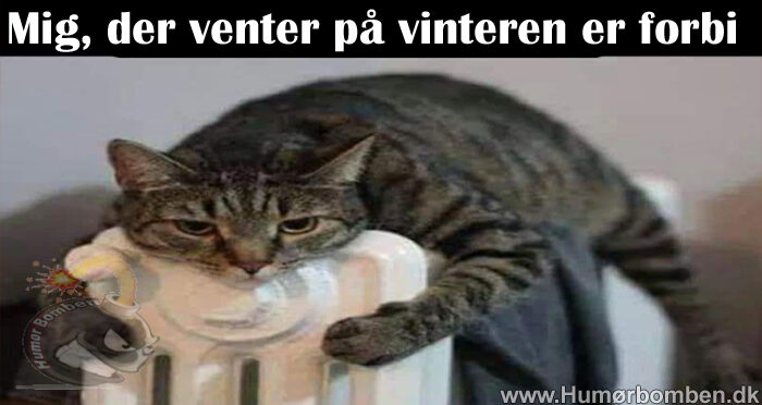 Mig, der venter på vinteren er forbi