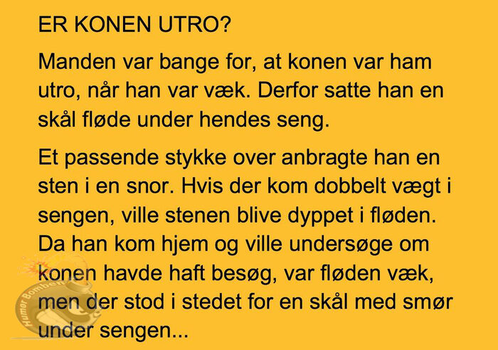 Er konen utro